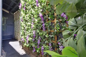 Side Access - click for photo gallery